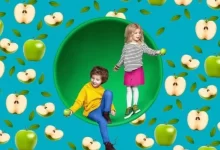 免费幼儿园小班健康教案模板范文(精选20篇)-麦豆教案网
