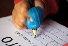 免费幼儿园中班主题教案模板范文（精选20篇）-麦豆教案网