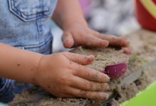 免费幼儿园中班美术教案模板范文（精选10篇）-麦豆教案网