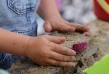 免费幼儿园小班健康教案模板范文（精选10篇）-麦豆教案网