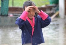 免费幼儿园小班主题教案模板范文（精选10篇）-麦豆教案网