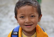 免费幼儿园大班科学教案模板范文(精选20篇)-麦豆教案网