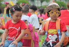 免费幼儿园小班科学教案模板范文（精选15篇）-麦豆教案网