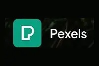 pexels免费视频素材